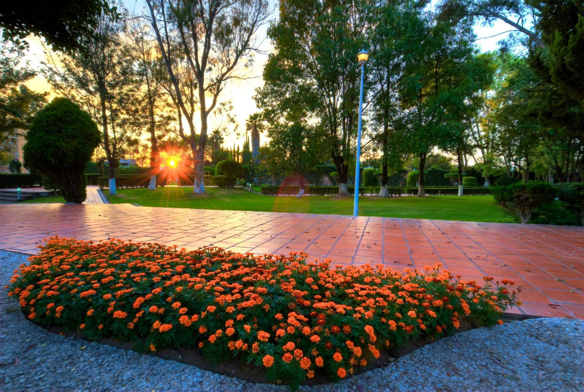 Hotel Las Trojes Агуаскалиентес Екстериор снимка